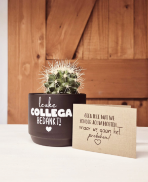 Cadeau collega bloempotje